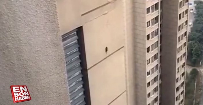 Çin'de 30 katlı binaya tırmanan fare