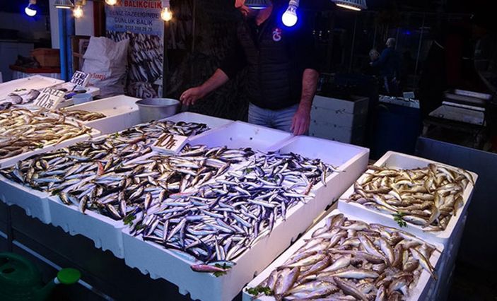 Hamsi avı 10 gün durduruldu