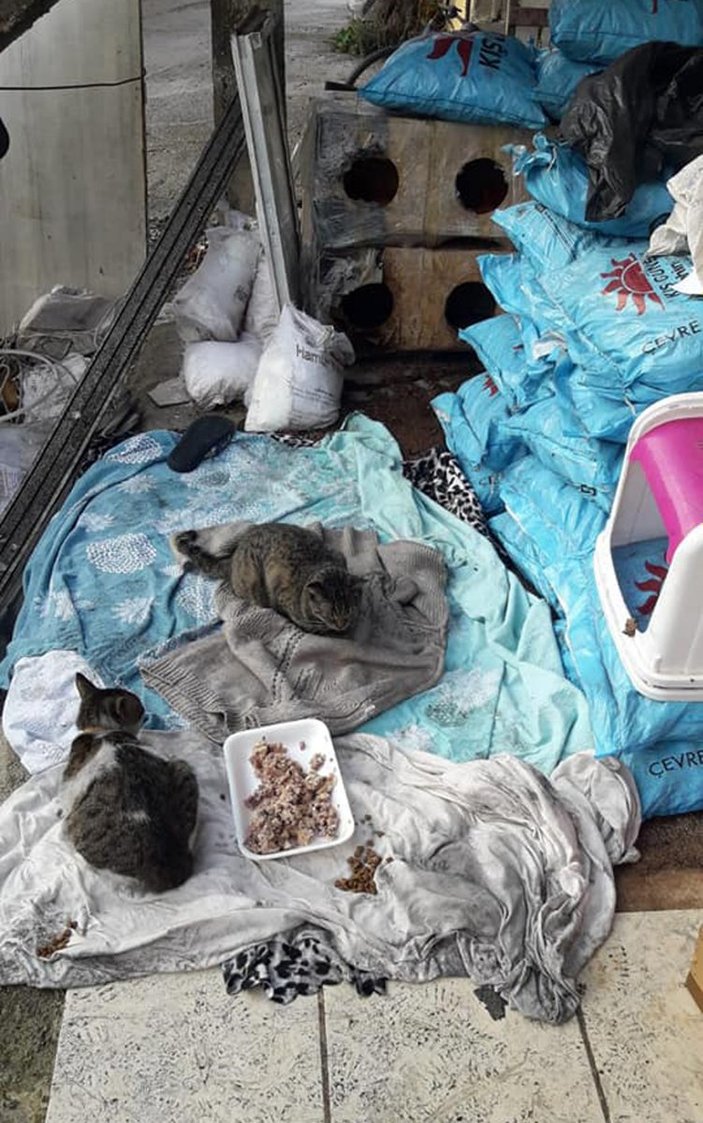 Antalya'da kedileri için bankadan kredi çeken kadının evi yandı