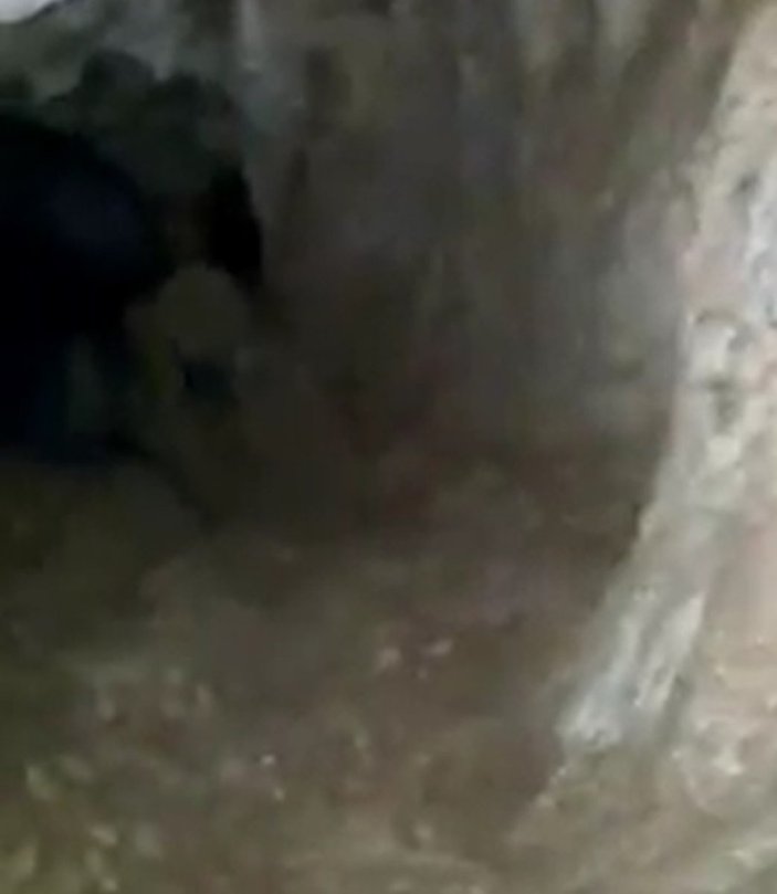 Malatya'da mağarada görüntülenen esrarengiz canlı