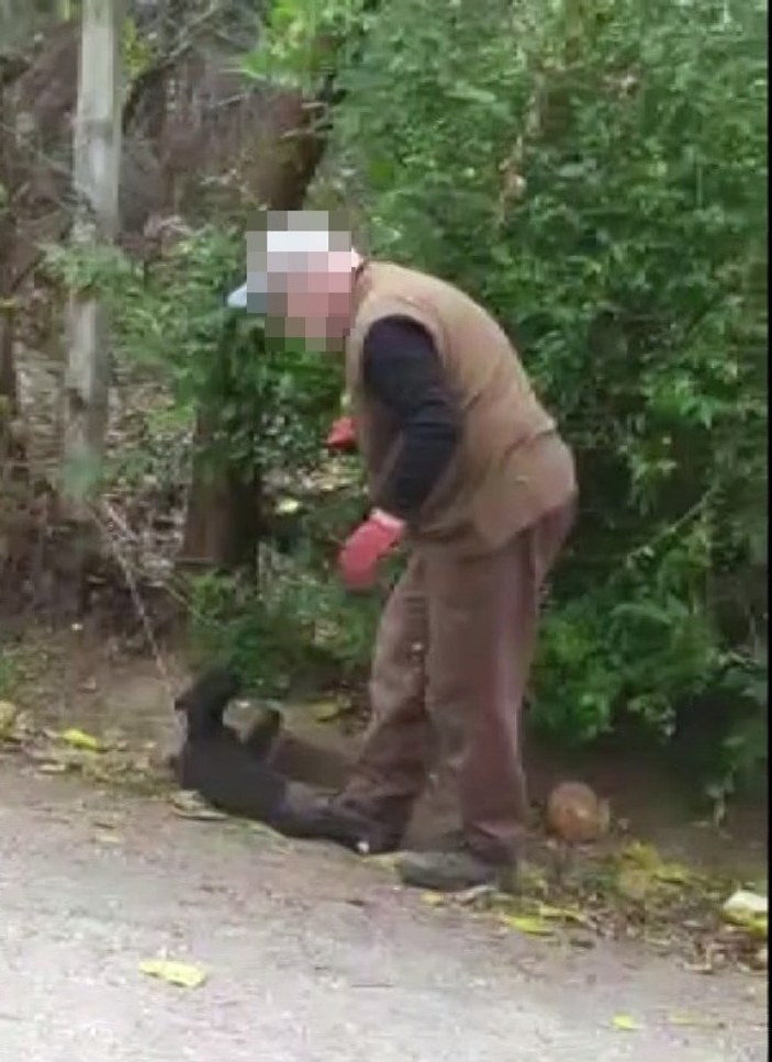 Sakarya'da genç kız, köpeğin üzerine bastığı için uyardığı komşusu tarafından darbedildi