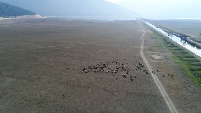 d Antalya'da kuruyan Avlan Gölü, koyun ve keçi sürülerine kaldı