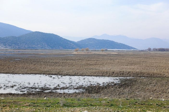 d Antalya'da kuruyan Avlan Gölü, koyun ve keçi sürülerine kaldı