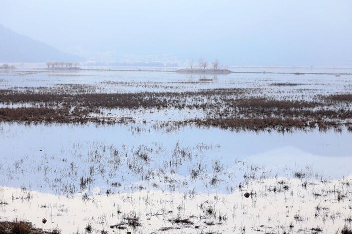 d Antalya'da kuruyan Avlan Gölü, koyun ve keçi sürülerine kaldı