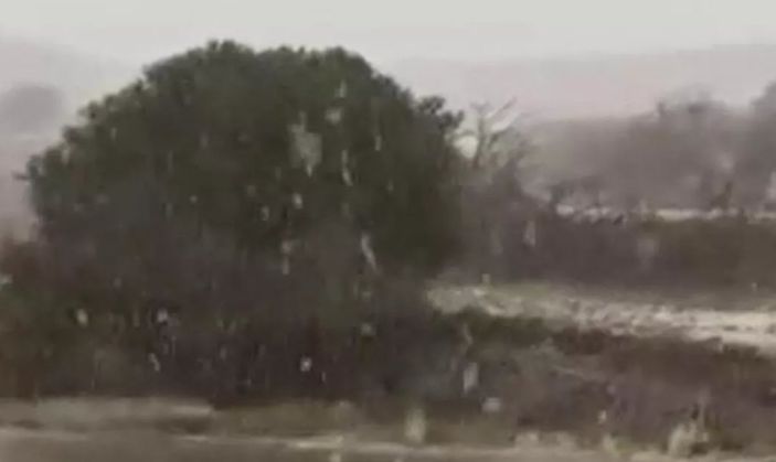 Suudi Arabistan beyaza büründü