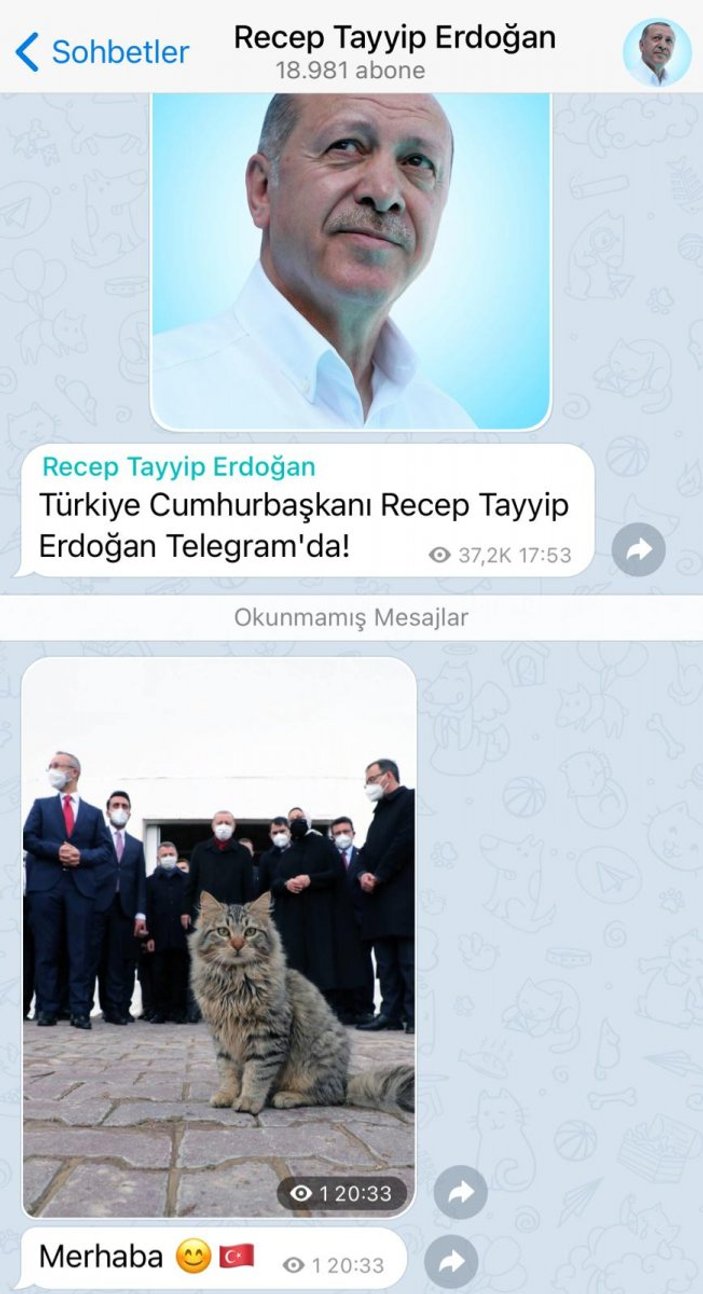 Cumhurbaşkanı Erdoğan BiP ve Telegram’da