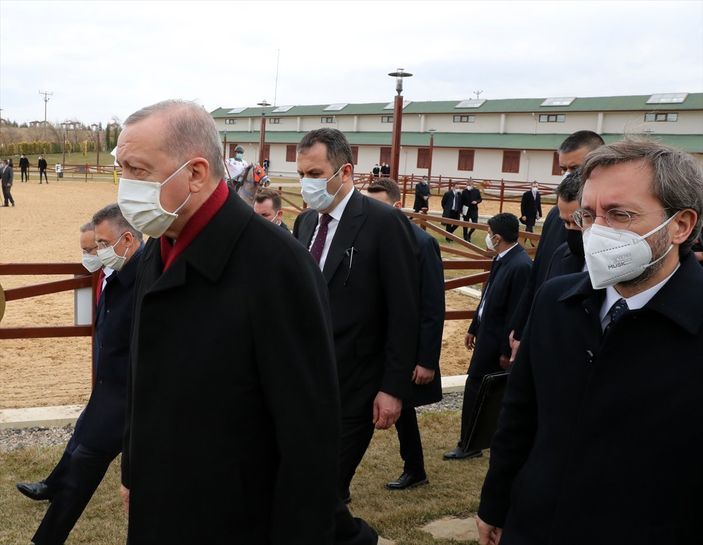Cumhurbaşkanı Erdoğan, atı elleriyle besledi