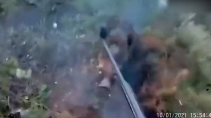 İtalya'da kadın avcı, domuzu tüfekle dövdü