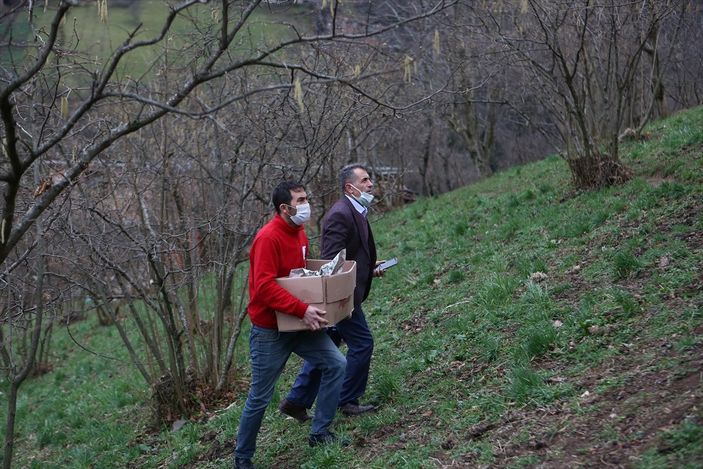 Trabzon'da yangınla yok olan mahallede hasar tespiti yapılıyor