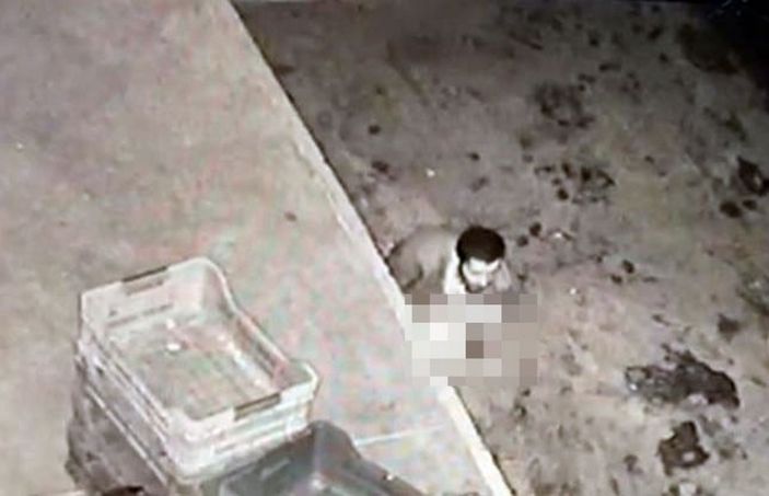 Sakarya'da yabancı uyruklu bir kişi köpeği taciz etti