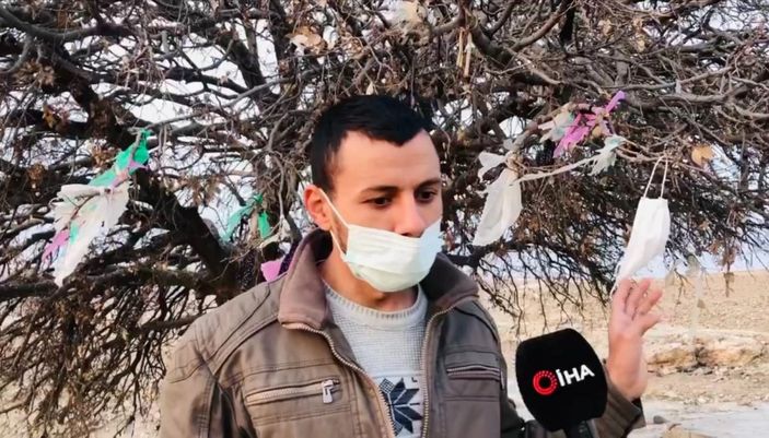 Şanlıurfa'da ağaca maske taktılar