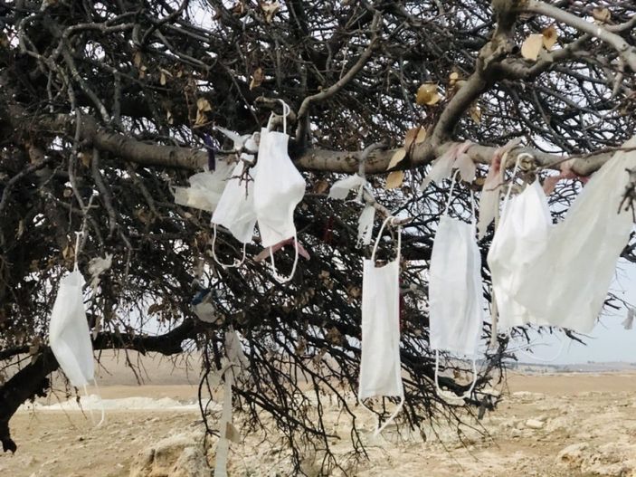 Şanlıurfa'da ağaca maske taktılar