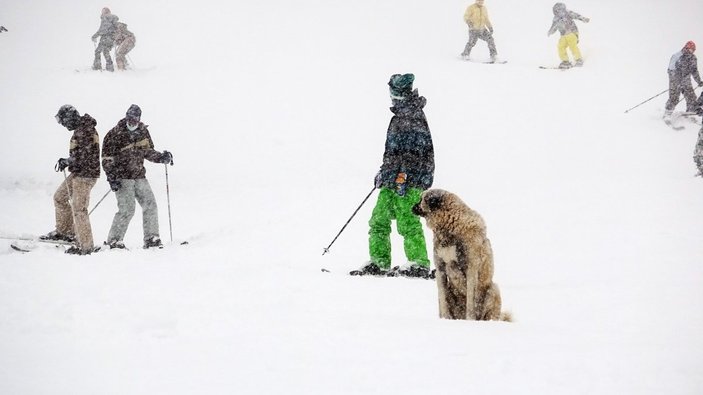 Uludağ’da kar kalınlığı 1 metreye çıktı, pistler şenlendi