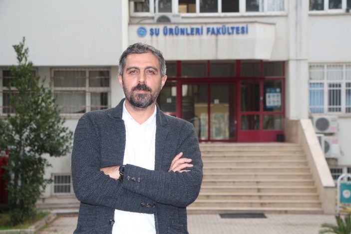 Balon balığı zehirli