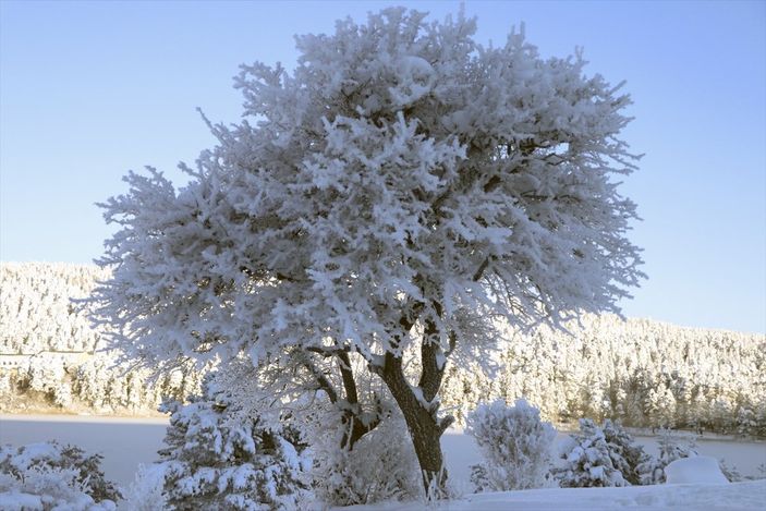 Bolu, eksi 32 dereceyle Türkiye'nin en soğuk ili oldu