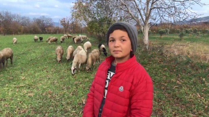 Balıkesir'de 12 yaşındaki çoban, YouTube fenomeni oldu