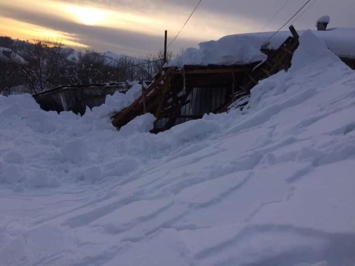 Zonguldak'ta ahır çöktü: 7 hayvan telef oldu