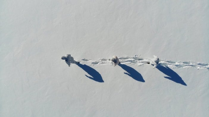 Koronavirüs kahramanlarının karla kaplı yollarda filyasyon mücadelesi