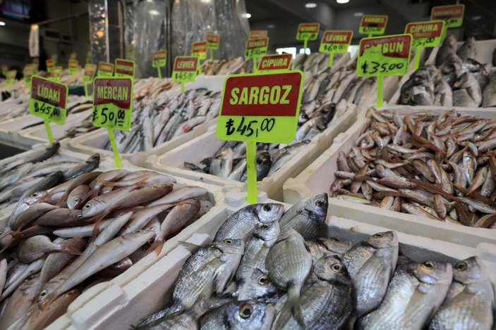 Balık fiyatları arttı