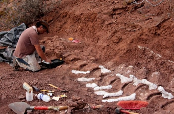 Arjantin’de 98 milyon yıllık dinozor fosili bulundu
