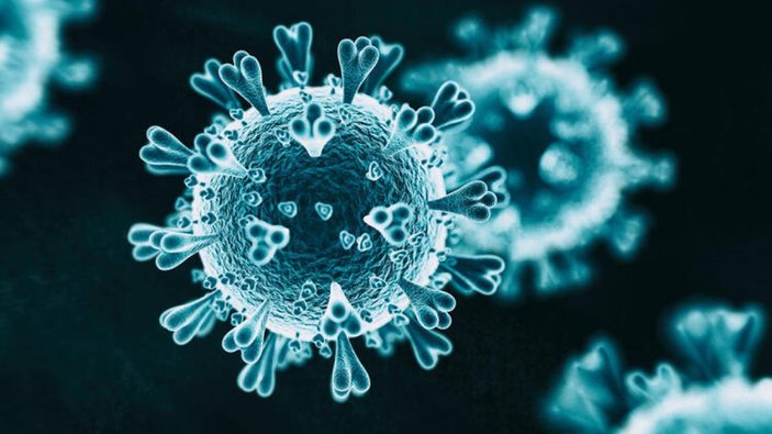 Diyarbakır’da mutasyonlu virüs tespit edildi
