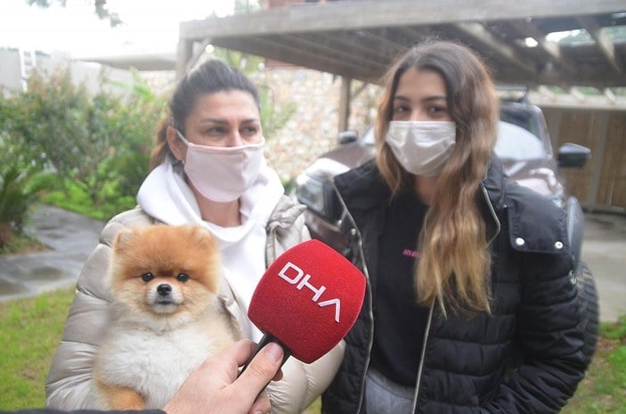 Muğla'da kızını ısıran köpeği ezdi: Kasıtlı yapmadım