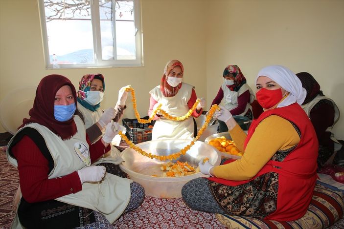 aa Turunçlar ekonomiye kazandırılıyor