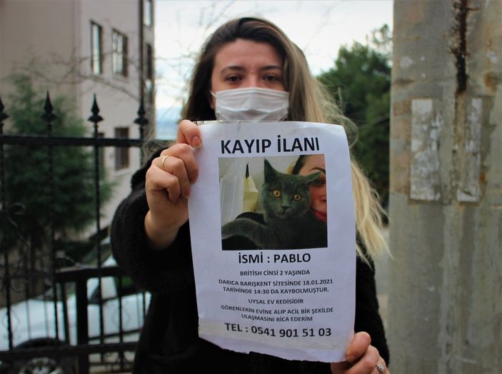 Feyza Yıldız