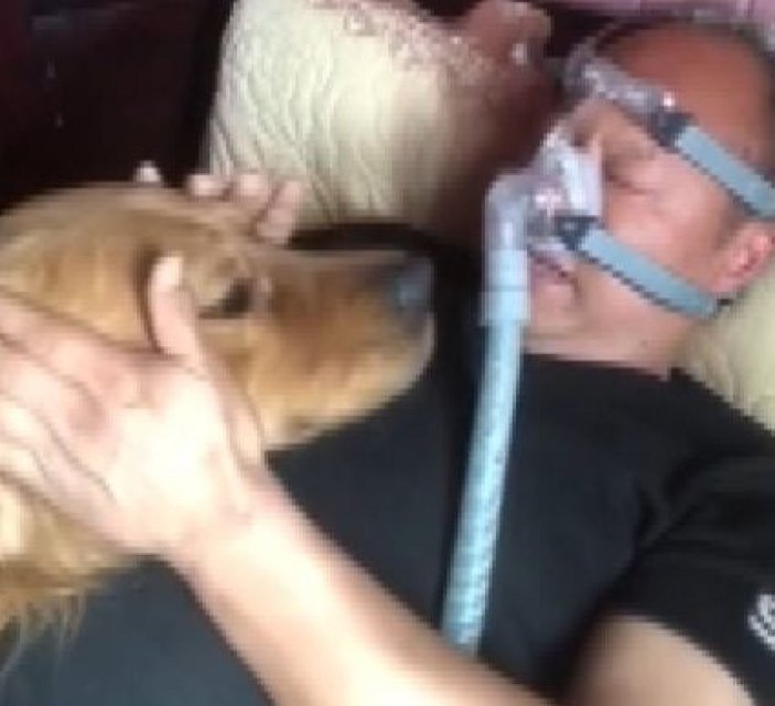 Çin'de tedavi gören sahibinin yanından ayrılmayan köpek
