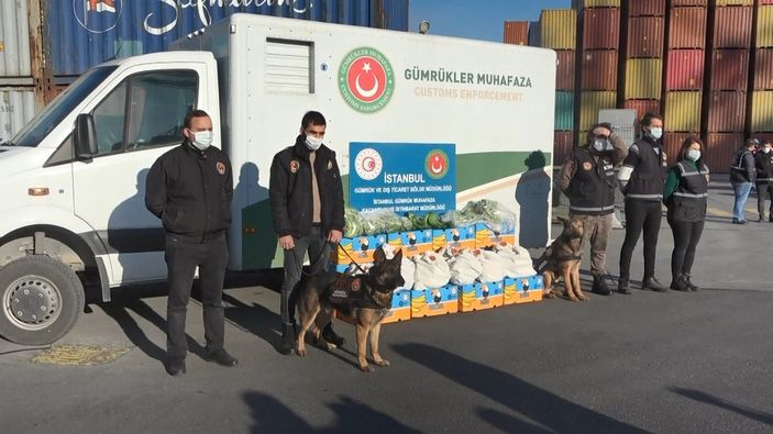 d Avcılar Ambarlı Limanı'nda muz yüklü gemide 88 kilo kokain bulundu