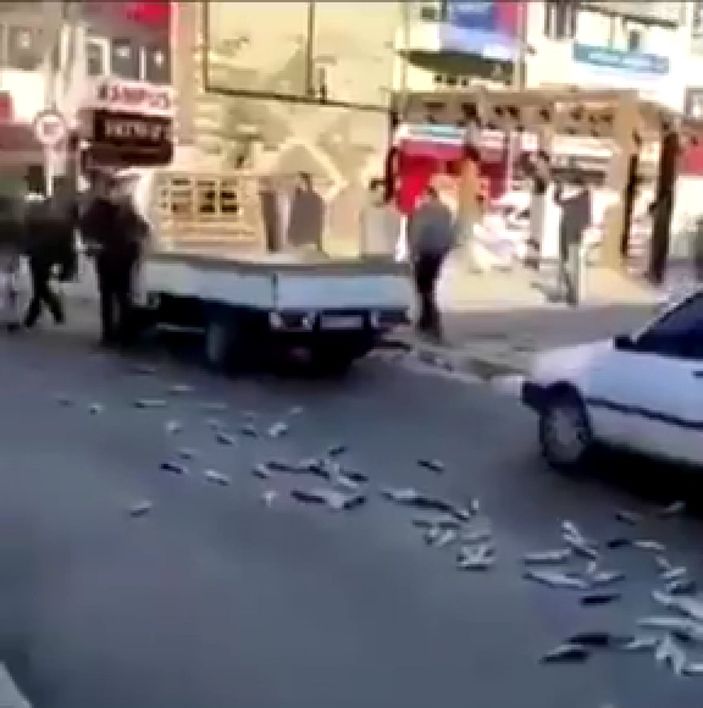Van’da zabıta seyyar satıcının balıklarını yere döktü