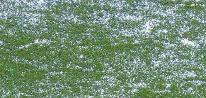 Alanyaspor-Sivasspor maçı sağanak yağmur nedeniyle ertelendi