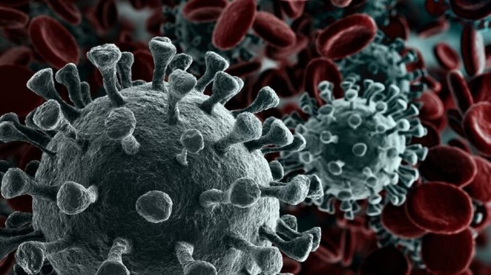 Mutant virüs belirtileri nelerdir? Mutasyonlu koronavirüs hangi illerde, kaç kişide görüldü?