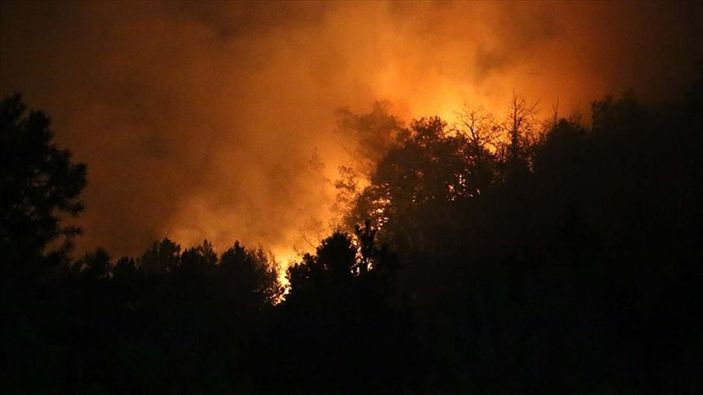 a Kastamonu'da orman yangını