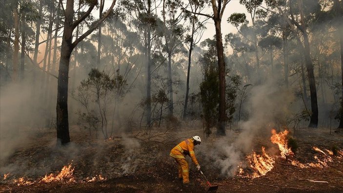 Avustralya'da kontrol altına alınamayan yangın 81 evi küle çevirdi