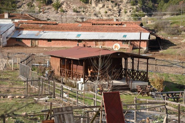 i Ahşap evler revaçta