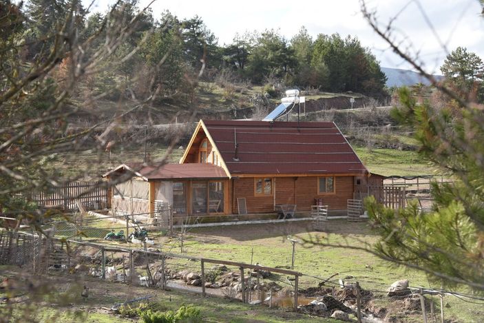 i Ahşap evler revaçta