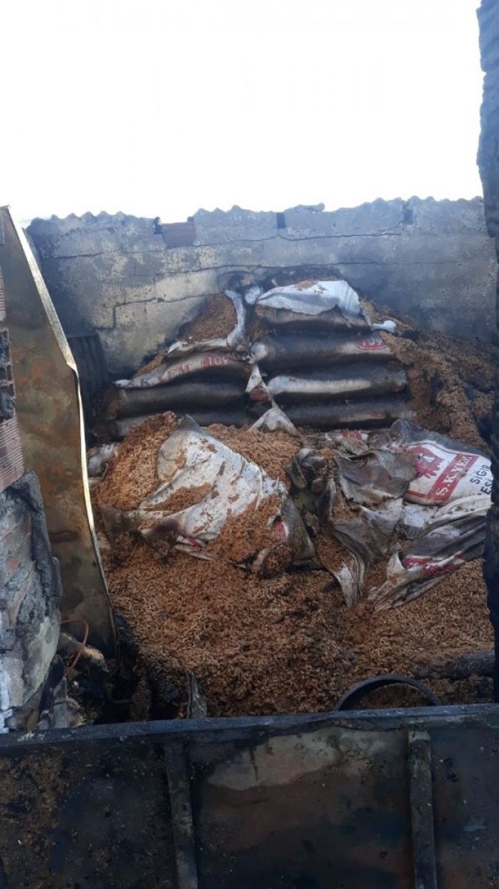 i Ankara'da, koyunları yanan Ayşe Teyze'nin gözyaşları sel oldu