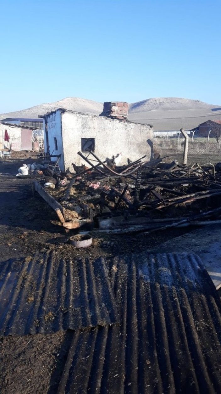 i Ankara'da, koyunları yanan Ayşe Teyze'nin gözyaşları sel oldu