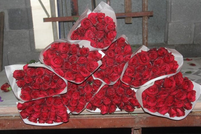 Adana çiçek üreticisi