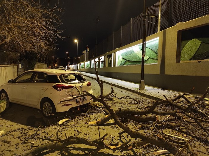 İstanbul'da rüzgar asırlık çınarı devirdi