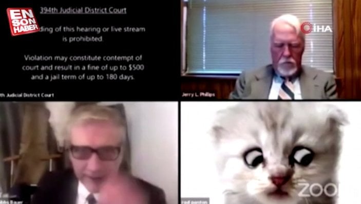 ABD'li avukat, Zoom'daki duruşmada yanlışlıkla kedi filtresi kullandı