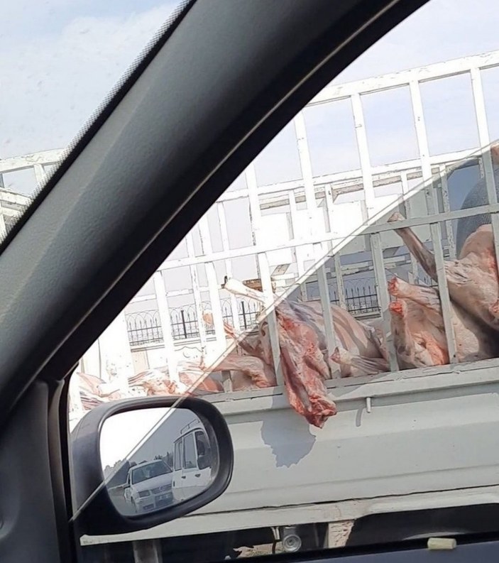Şanlıurfa'da kamyonet kasasında taşınan etler tepki çekti