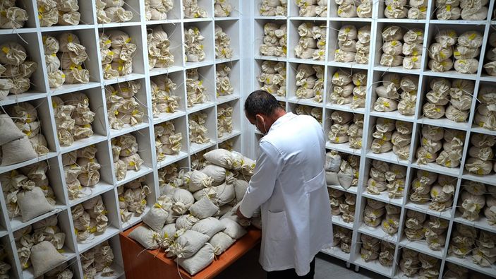 aa Lisanslı depoculuk kazandırıyor