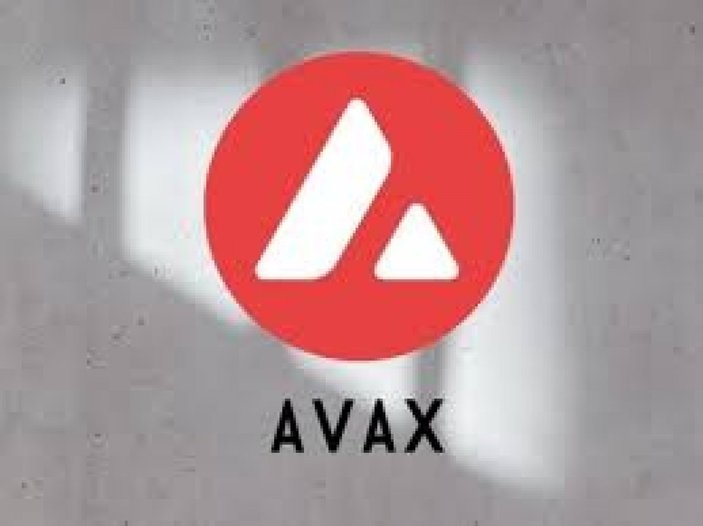 Avalanche AVAX Coin nedir? AVAX Coin fiyatı neden arttı?