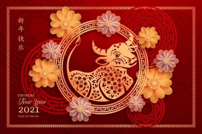 Çin Yeni Yılı nedir, ne zaman kutlanır? Çin yeni yılı neden geç kutluyor?