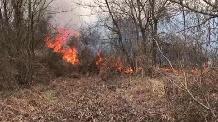 İstanbul'da orman yangını