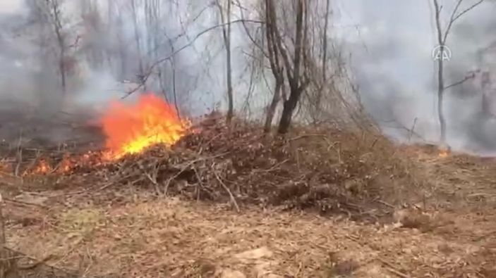 İstanbul'da orman yangını