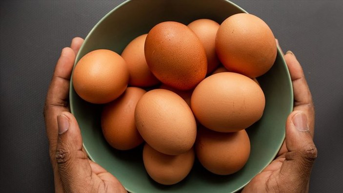 Yumurta üretimi verileri