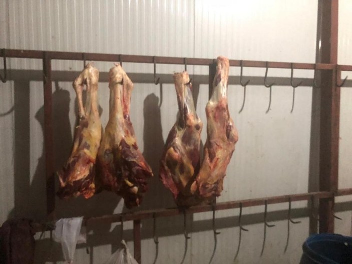 Malatya'da yem fabrikasında ruhsatsız et üretimine baskın